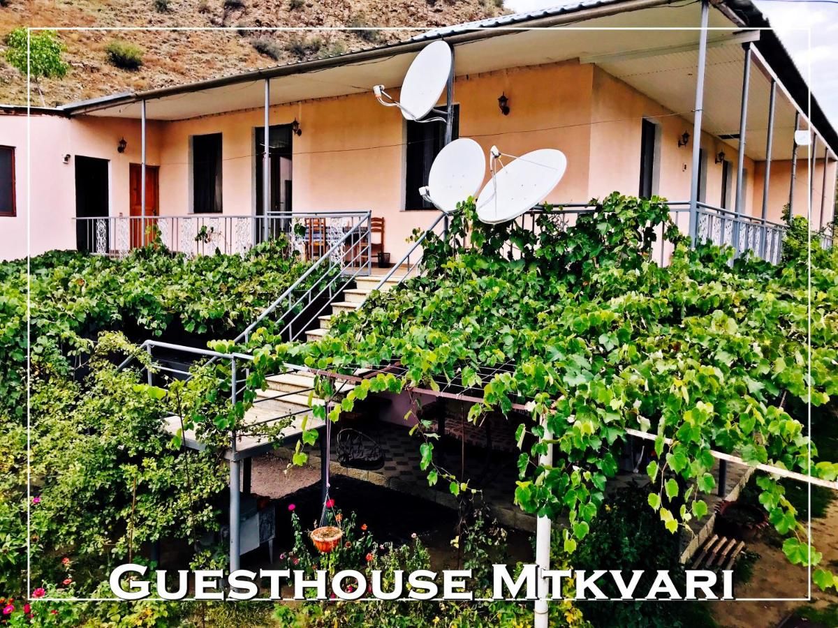 Гостевой дом Guesthouse Mtkvari Nak'alak'evi-6